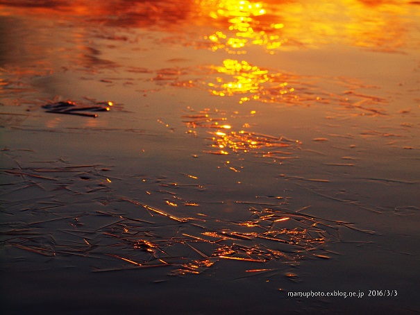 夕陽女復活~_e0200350_2141269.jpg