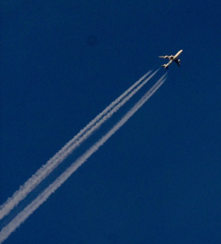 a0248459_15561262.jpg