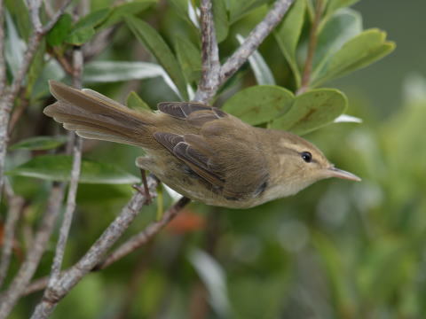 a0248459_16003037.jpg