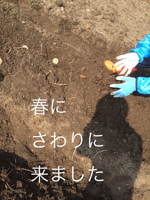 c0195362_22331399.jpeg