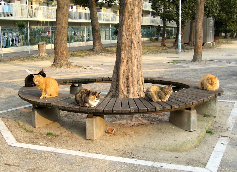 円座会議_b0057679_1041247.jpg
