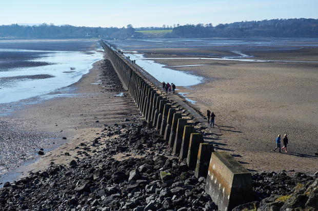 Cramond Island_e0205680_7321514.jpg