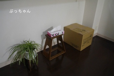 f0353990_17481981.jpg