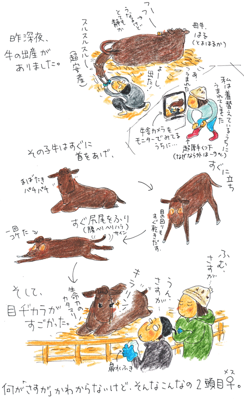 f0236291_1146745.gif