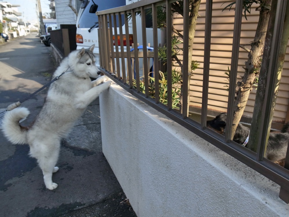 ぴょんぴょん飛びます♪　(*^_^*)_c0049299_2247939.jpg