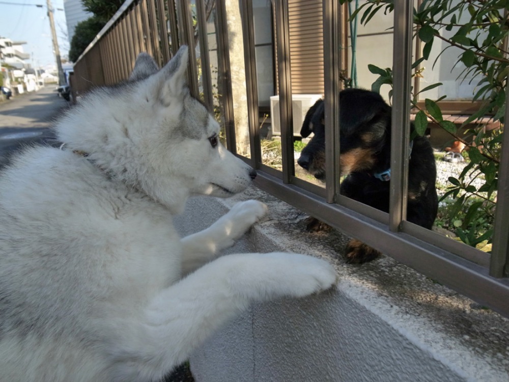 ぴょんぴょん飛びます♪　(*^_^*)_c0049299_22504615.jpg