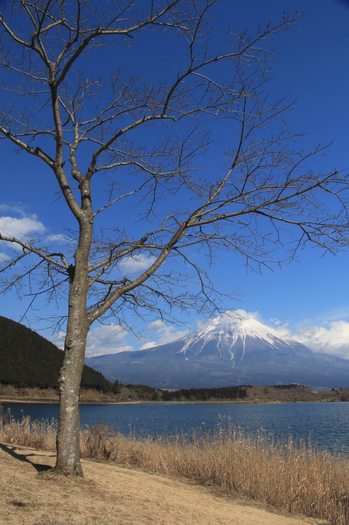 田貫湖の残り雪_a0188405_23355015.jpg