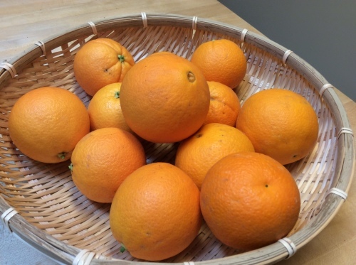 a0331910_13024216.jpg