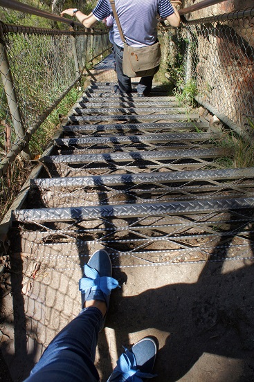 ３世代旅行＠Sydney　その④　Blue　Mountains　National　Park．_e0187710_19375215.jpg