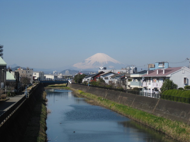 b0183111_1339649.jpg