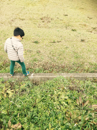散歩道_e0149215_22471497.jpg