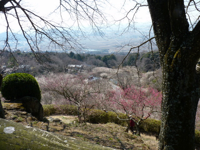d0197317_10562486.jpg