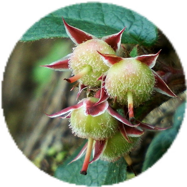 d0024426_23371501.jpg