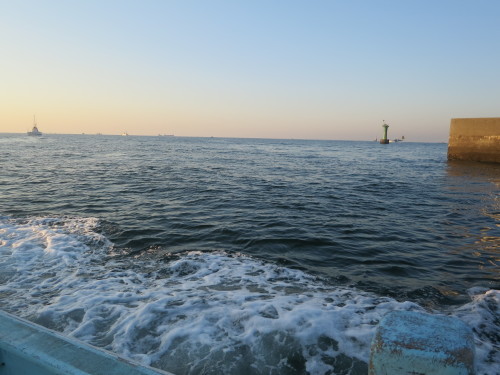 e0198329_10064609.jpg
