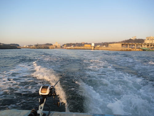 師崎から　海初釣り　カサゴ_e0198329_10075508.jpg