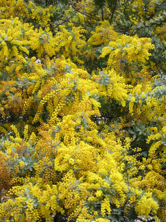 b0014732_14342040.jpg