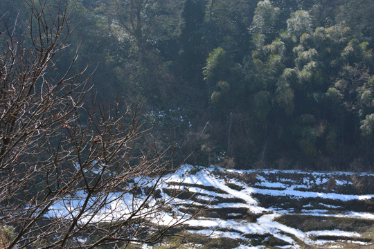 c0093046_20233237.gif
