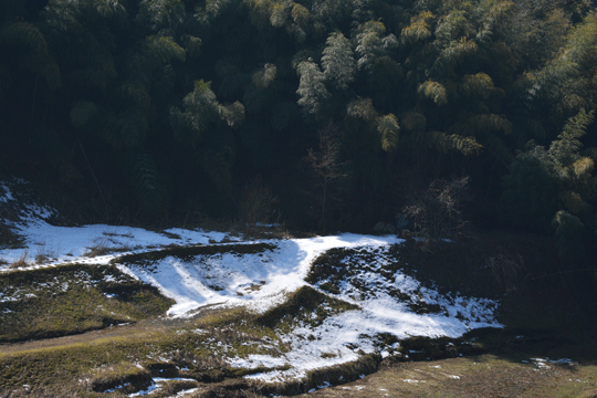 c0093046_20234611.gif