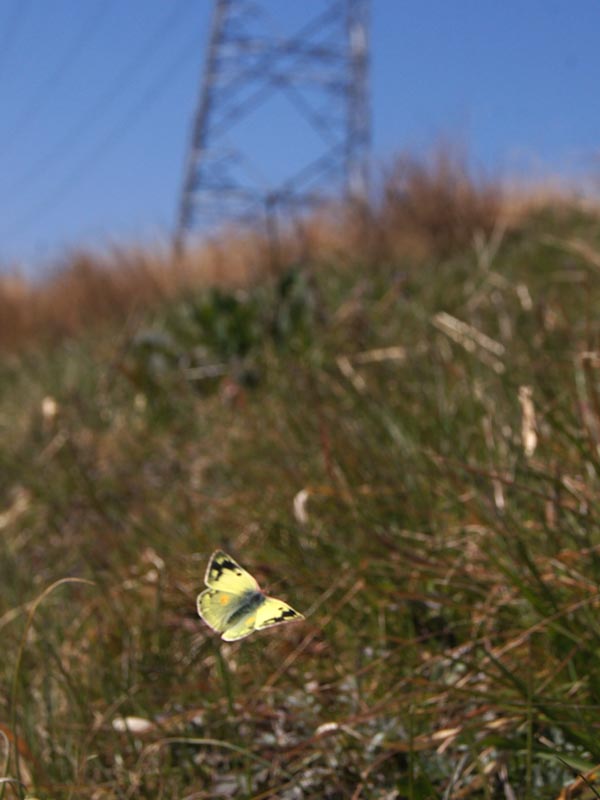 c0045352_8303834.jpg