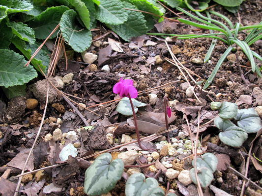 c0147952_0261571.jpg