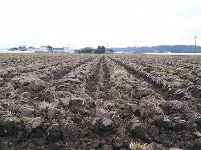 七城米 長尾農園 今年もこだわりの“天地返し”で、しっかり根を張る土壌を作り上げます!_a0254656_18561750.jpg