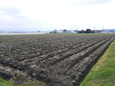 七城米 長尾農園 今年もこだわりの“天地返し”で、しっかり根を張る土壌を作り上げます!_a0254656_1902571.jpg