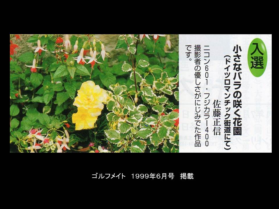 a0261857_186451.jpg