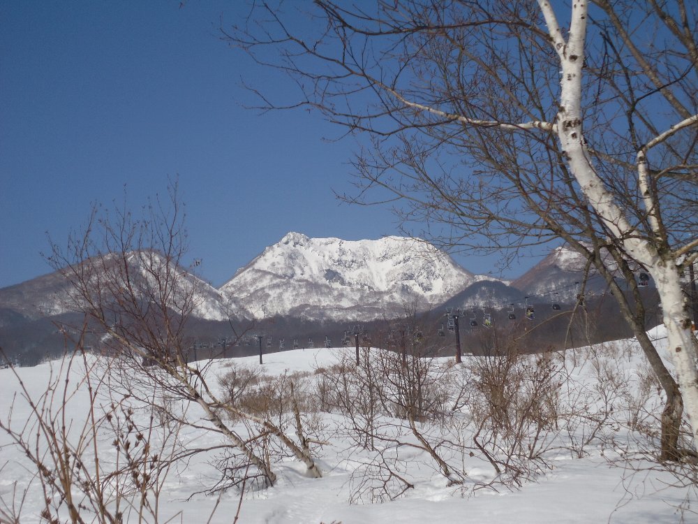 a0336959_17465900.jpg