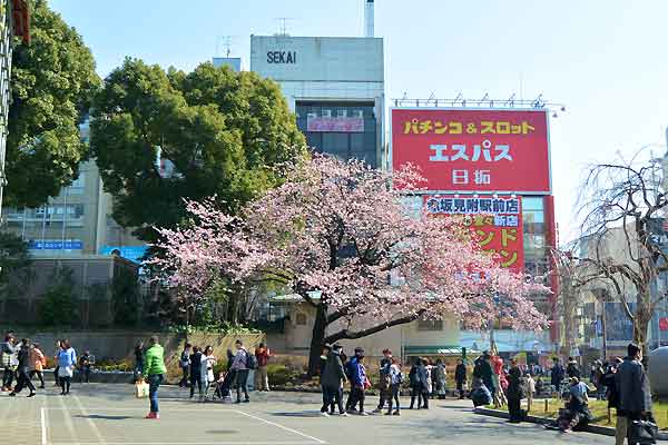 上野恩賜公園の桜　　　　散歩写真397_f0038867_21371835.jpg