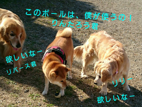 c0345972_18535500.jpg