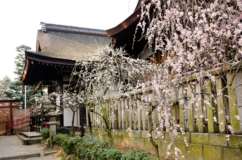 a0301676_08592211.jpg