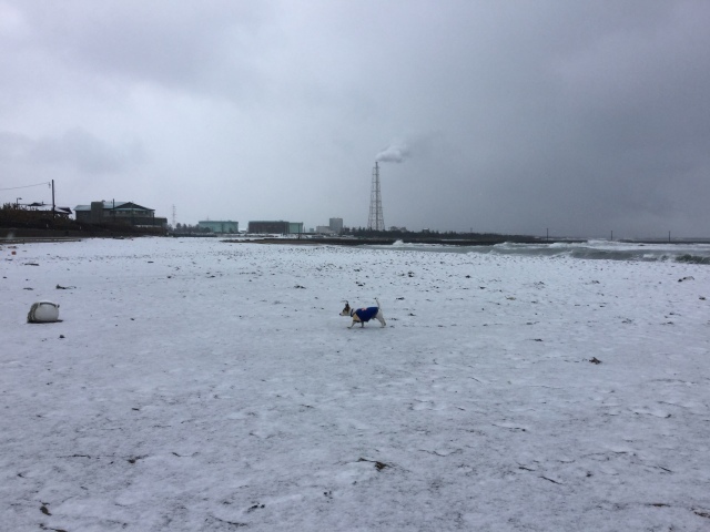 a0118079_23294814.jpeg