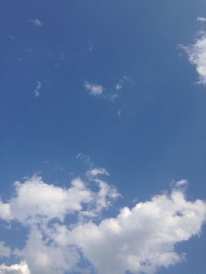 a0355483_21554595.jpg