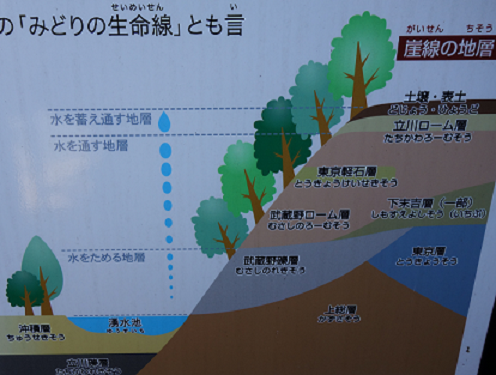 d0183387_21533094.png