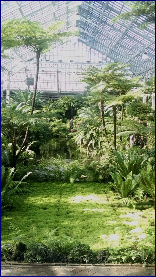e0161692_3375166.jpg