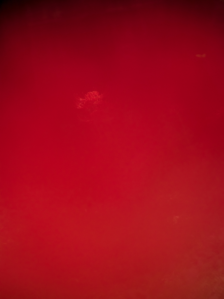 f0224100_981522.jpg
