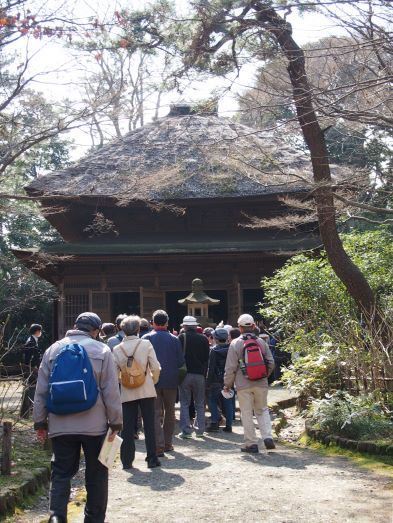 梅香る三渓園に鎌倉ゆかりの史跡を訪ねる(2016.03.04)_e0245404_2571085.jpg