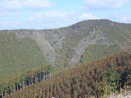 e0215910_9294297.jpg