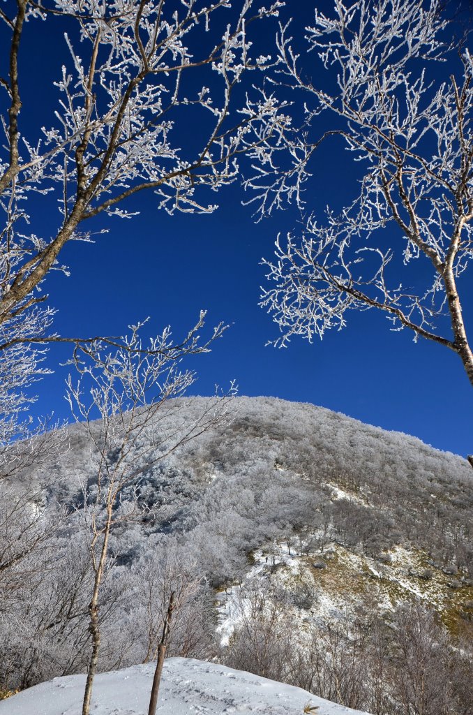 2016/3/2 黒檜山_a0340812_16124415.jpg