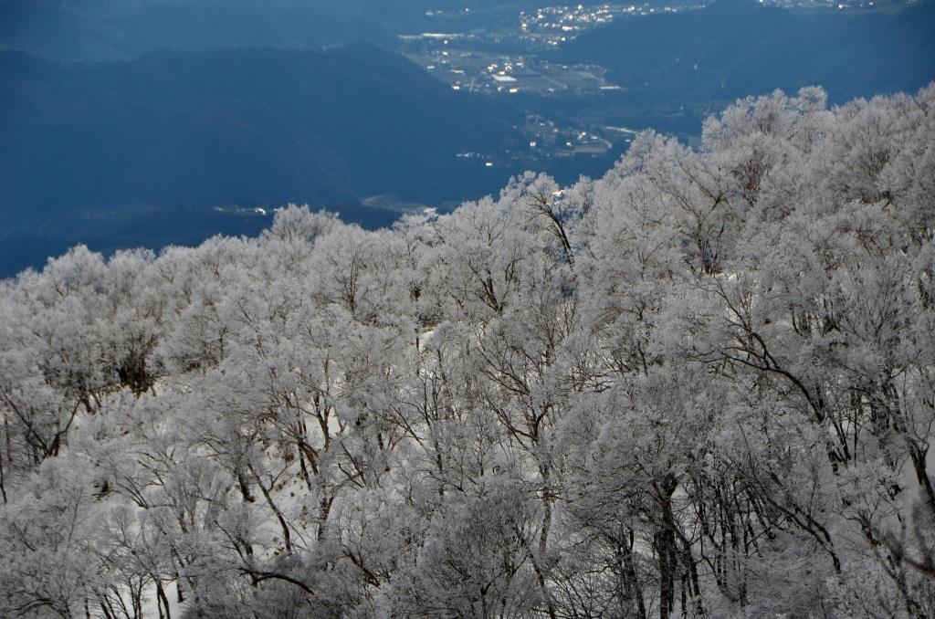 2016/3/2 黒檜山_a0340812_1617730.jpg