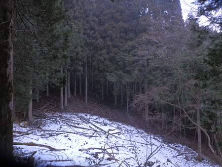 e0252819_12443661.jpg