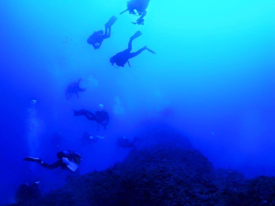 c0115421_20585242.jpg
