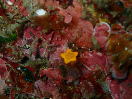 d0164831_21242518.jpg