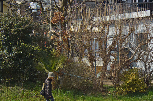 f0206939_1725498.jpg