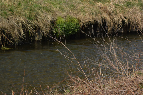 f0206939_174643.jpg