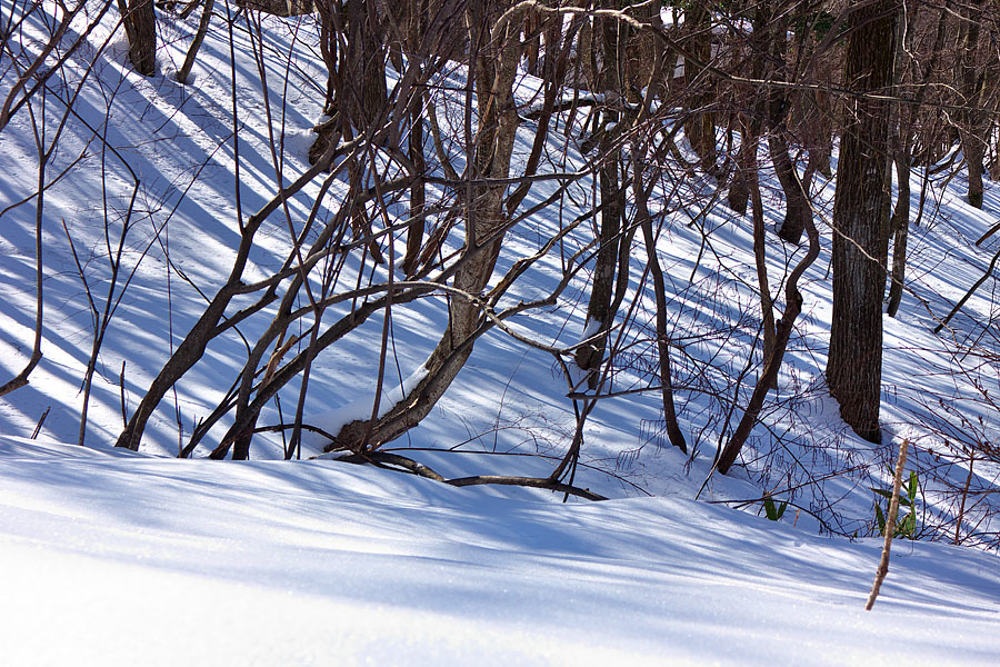 雪景色　総集編④_c0067040_10292814.jpg