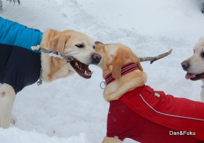 テンションあがるぅ～～_a0142343_11343332.jpg