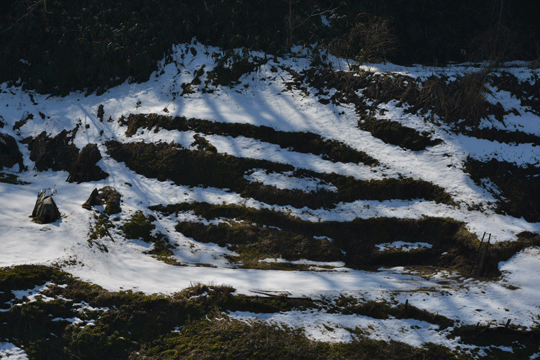 c0093046_5342539.gif