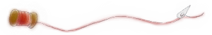 b0255249_20193152.gif