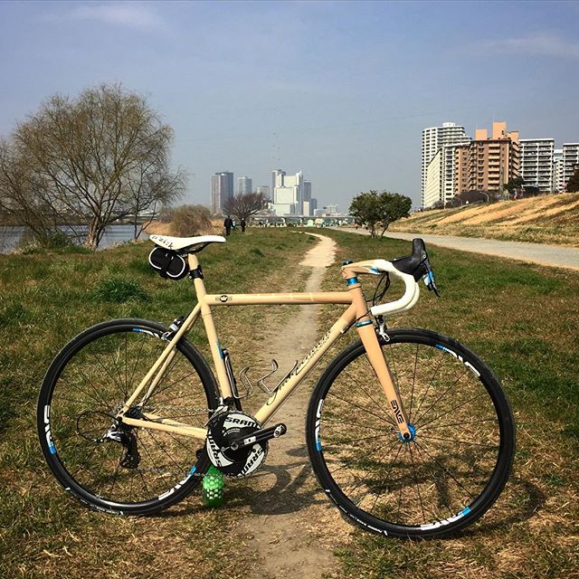Enve SES 2.2 クリンチャー/チューブレス DT SWISS 240S